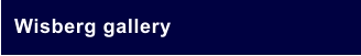 Wisberg gallery